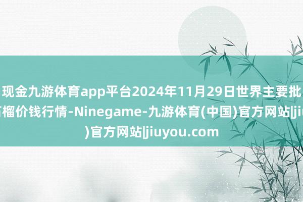 现金九游体育app平台2024年11月29日世界主要批发阛阓番石榴价钱行情-Ninegame-九游体育(中国)官方网站|jiuyou.com