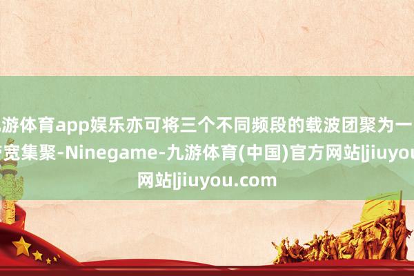 九游体育app娱乐亦可将三个不同频段的载波团聚为一张超大带宽集聚-Ninegame-九游体育(中国)官方网站|jiuyou.com