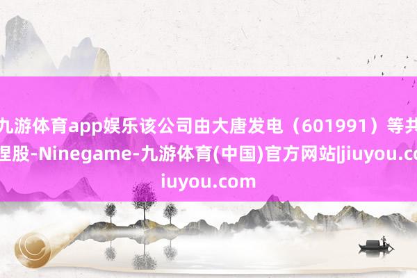 九游体育app娱乐该公司由大唐发电（601991）等共同捏股-Ninegame-九游体育(中国)官方网站|jiuyou.com