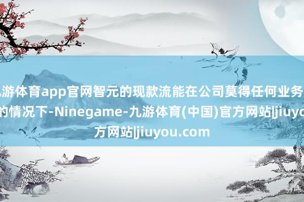九游体育app官网智元的现款流能在公司莫得任何业务产生收入的情况下-Ninegame-九游体育(中国)官方网站|jiuyou.com